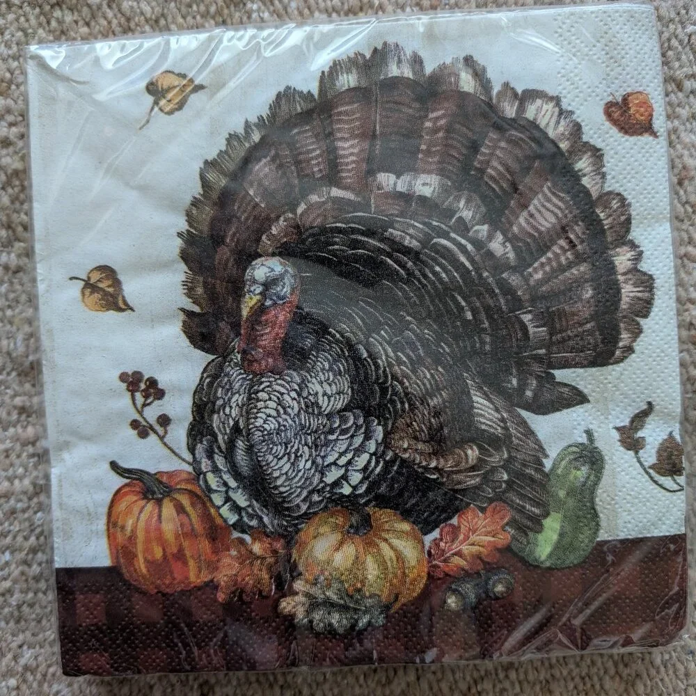 176 Large Timeless Turkey 2-Ply Thanksgiving Christmas New Year Party Napkins